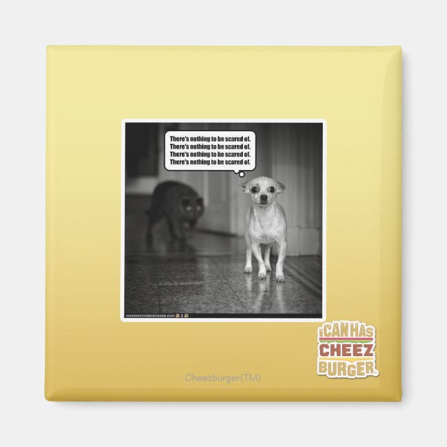 Imã Não há nada de que se ter medo (Frente)