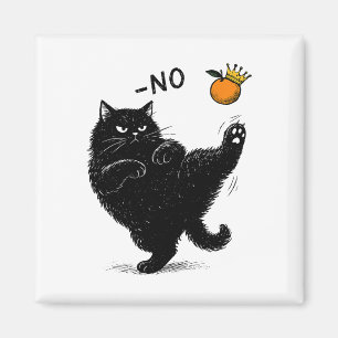 Imã Não Há Reis Nos Estados Unidos Memória Política En