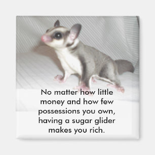 Imã Não importa quanto dinheiro e quanto...