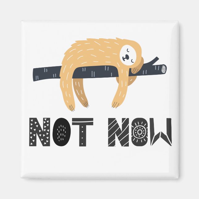 Imã Não incomode a lama (Frente)