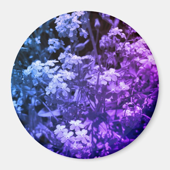 Imã não me esqueça (Frente)