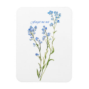 Ímã Não me esqueças Flor de Jardim Aquarela Personaliz
