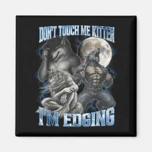 Imã Não Me Toque Gatinho Estou Fazendo Edging Engraçad