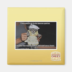 Imã Não quero ir à festa da noiva