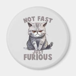 Imã Não Rápido, Apenas Furioso - Humor De Gato Cinza