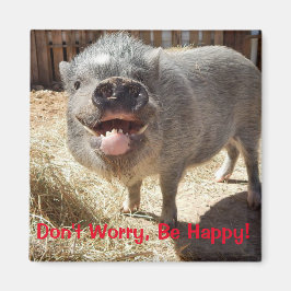 Imã Não se preocupe, seja feliz, Imagem Pig Square