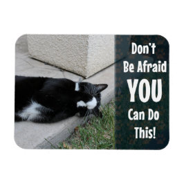Ímã Não Tenha Medo De Dizer Motivação De Gato