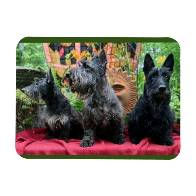 Ímã Não Vou Olhar (Horizontal)