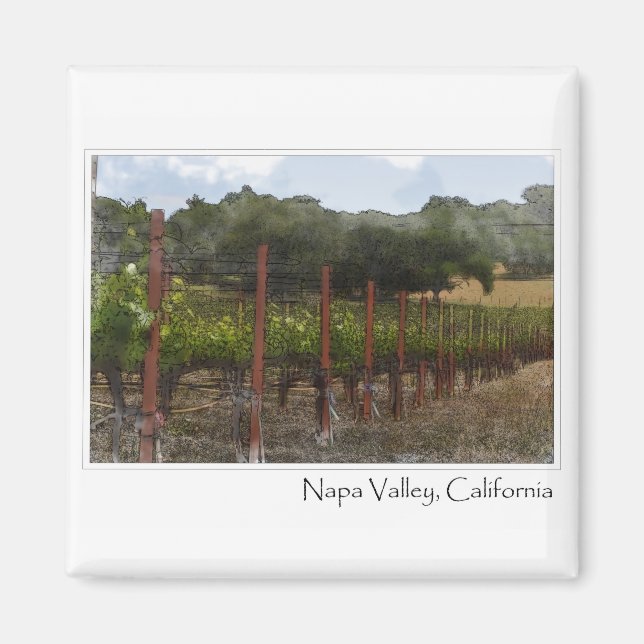 Imã Napa Valley California Grape Vineyard (Frente)