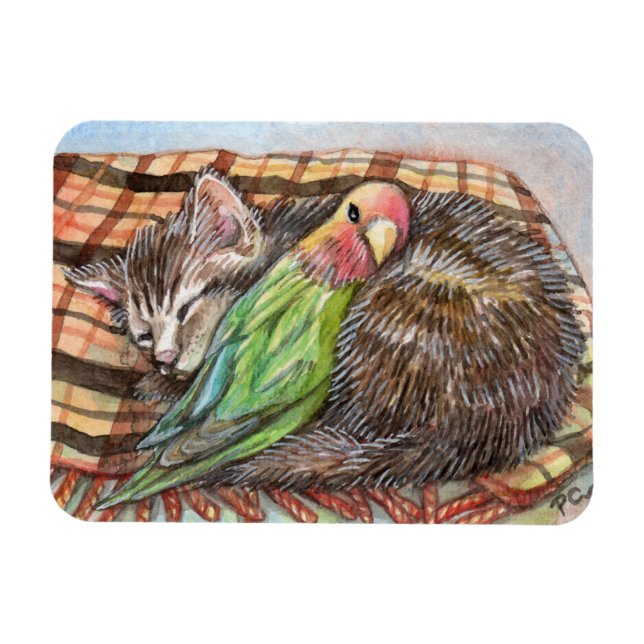 Ímã Napping Buddy (Horizontal)