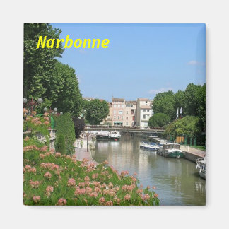 imã narbonne
