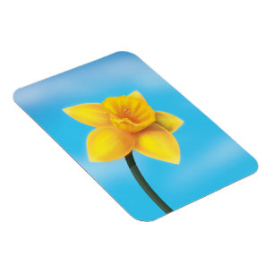 Ímã Narciso Amarelo Brilhante