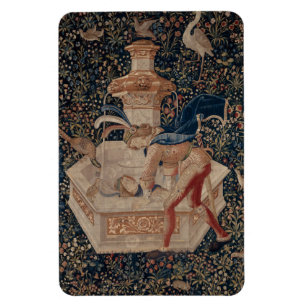 Ímã Narciso no Poço, Tapeçaria Medieval