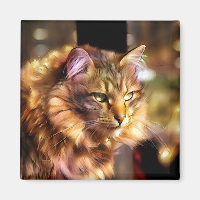 Imã Nari e o Sol Ouro (Frente)