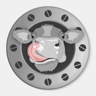 Imã Nariz a lamber vaca