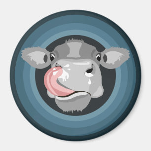 Imã Nariz a lamber vaca