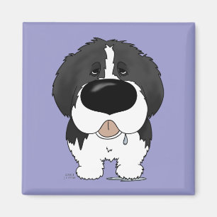 Imã Nariz grande Terra Nova