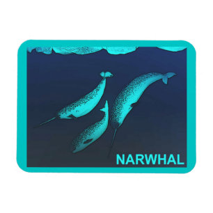 Ímã Narwhal