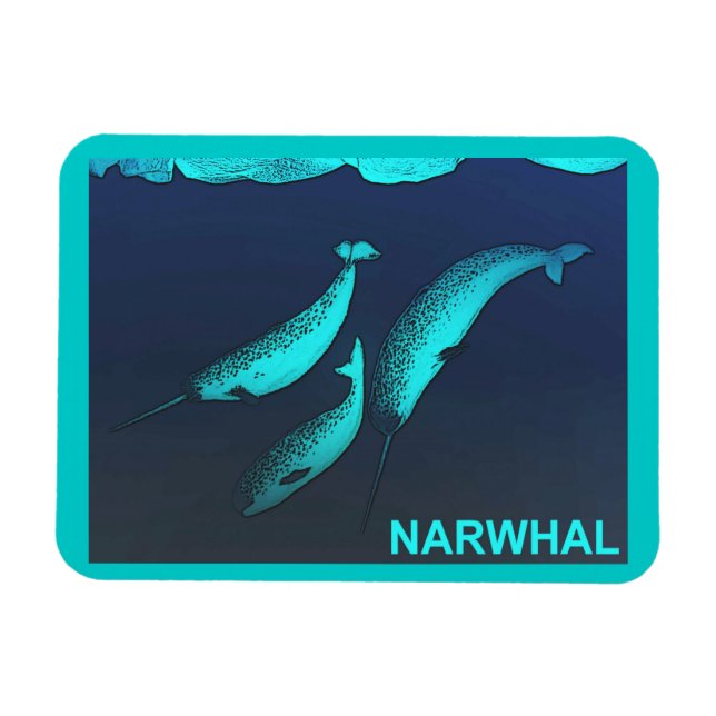 Ímã Narwhal (Horizontal)