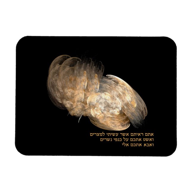 Ímã Nas Asas da Águia (Horizontal)