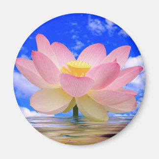 Imã Nascer de Flor de Lotus na Água