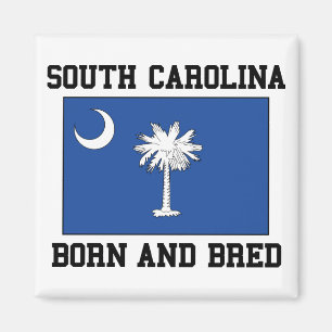 Imã Nascer de South Carolina