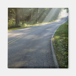 Imã nascer do sol através da névoa ao lado do rio Verd