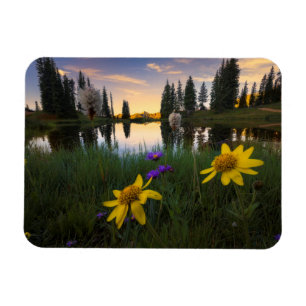 Ímã Nascer do sol sereno sobre uma lagoa de Colorado