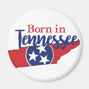 Imã Nascer no Estado do Tennessee - Símbolos do Estado