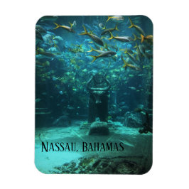 Ímã Nassau, Bahamas Atlantis