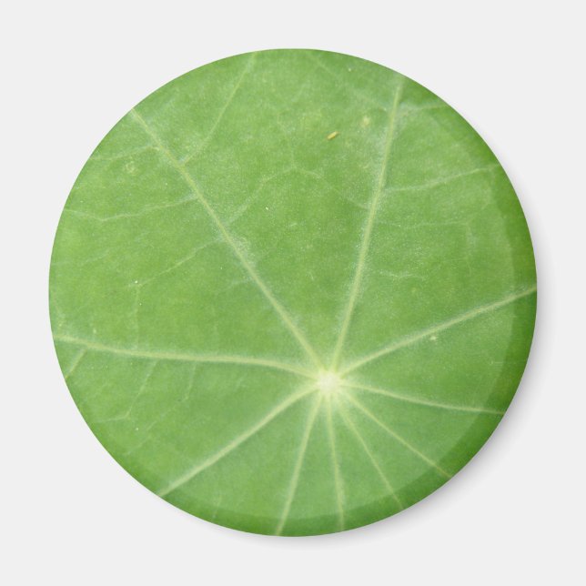Imã Nasturtium Leaf Magnet (Frente)