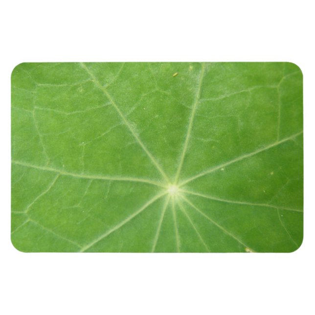 Ímã Nasturtium Leaf Premium Magnet (Horizontal)