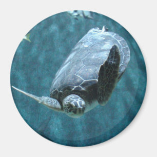 Imã Natação bonito da tartaruga de mar no ímã da f