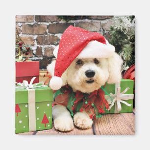 Imã Natal - Bichon Frise - margarida