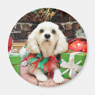 Imã Natal - Bichon Frise X - Maya
