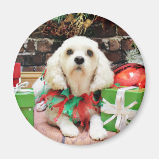 Imã Natal - Bichon Frise X - Maya