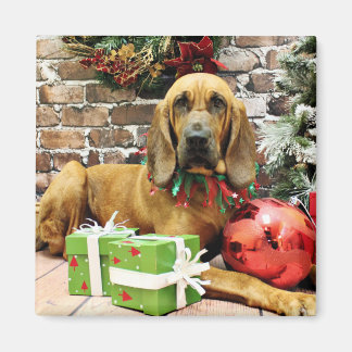 Imã Natal - Bloodhound - Penney