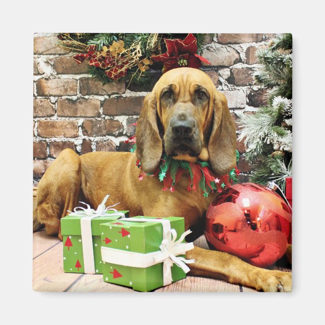 Imã Natal - Bloodhound - Penney (Frente)