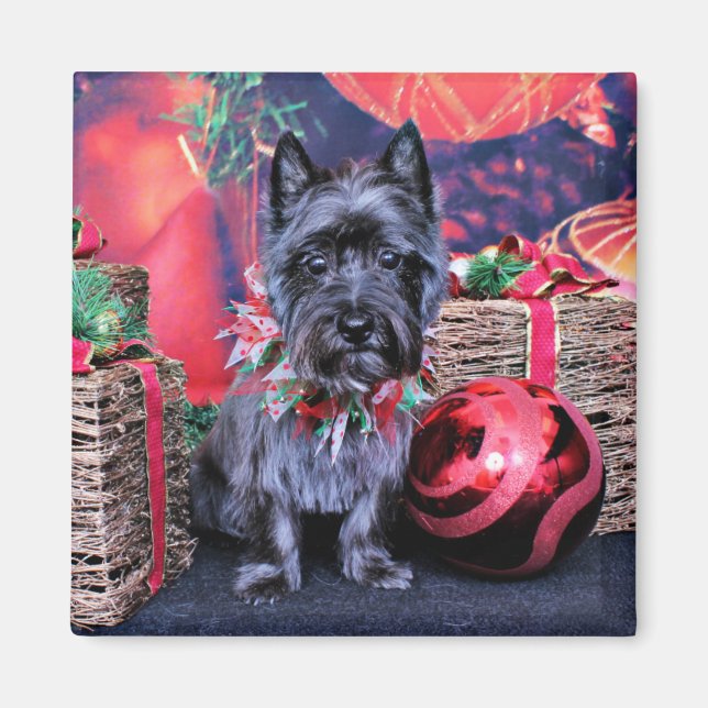 Imã Natal - Cairn Terrier - Joel (Frente)