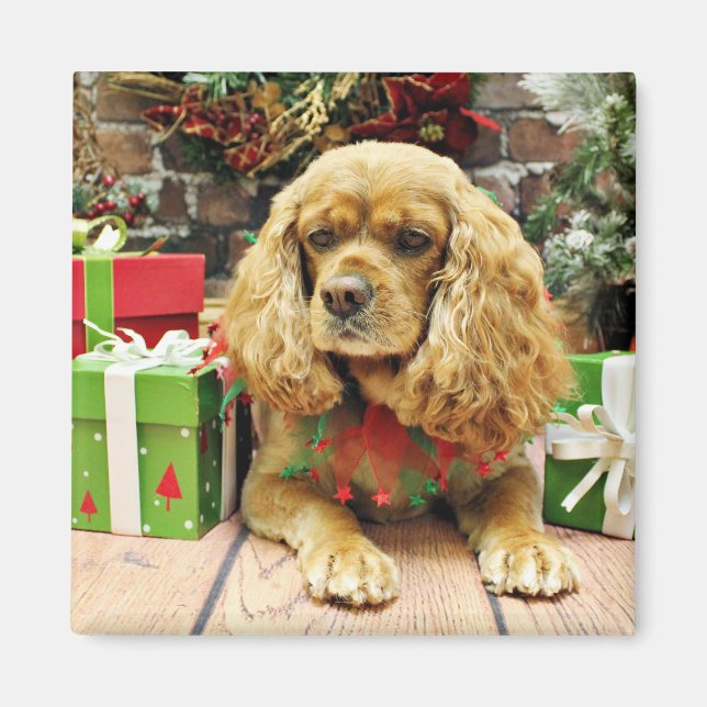 Imã Natal - Cockalier - Suzy (Frente)