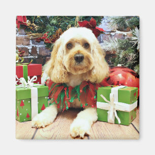 Imã Natal - Cockapoo - amigo