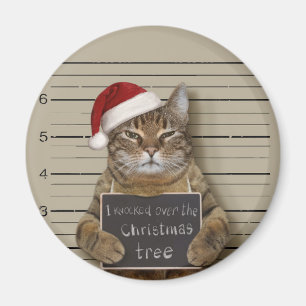 Imã Natal de Gato de Mugshot