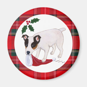 Imã Natal de Jack Russell Terrier