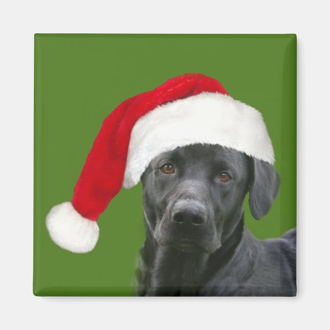 Imã Natal de laboratório negro (Frente)