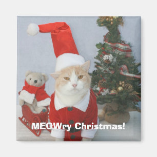 Imã Natal de MEOWry!