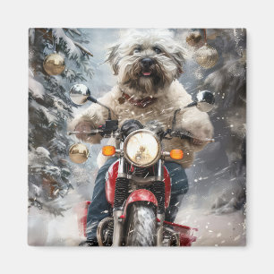 Imã Natal De Motocicleta No Havanês
