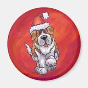 Imã Natal de St Bernard no vermelho