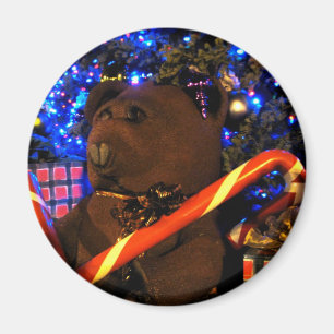Imã Natal de Teddys mim