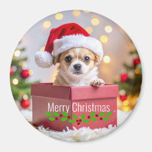 Imã Natal do Cachorro Chihuahua Filhote