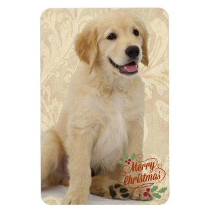 Ímã Natal do modelo de fotografia de Magnet Pet